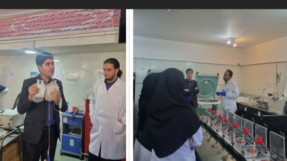 بازدید 